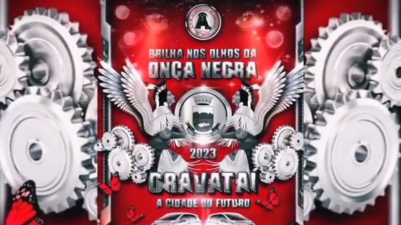 onça negra