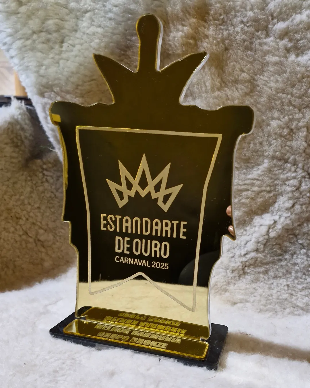 TROFÉU ESTANDARTE DE OURO 2025 (1) - foto_uecgapa