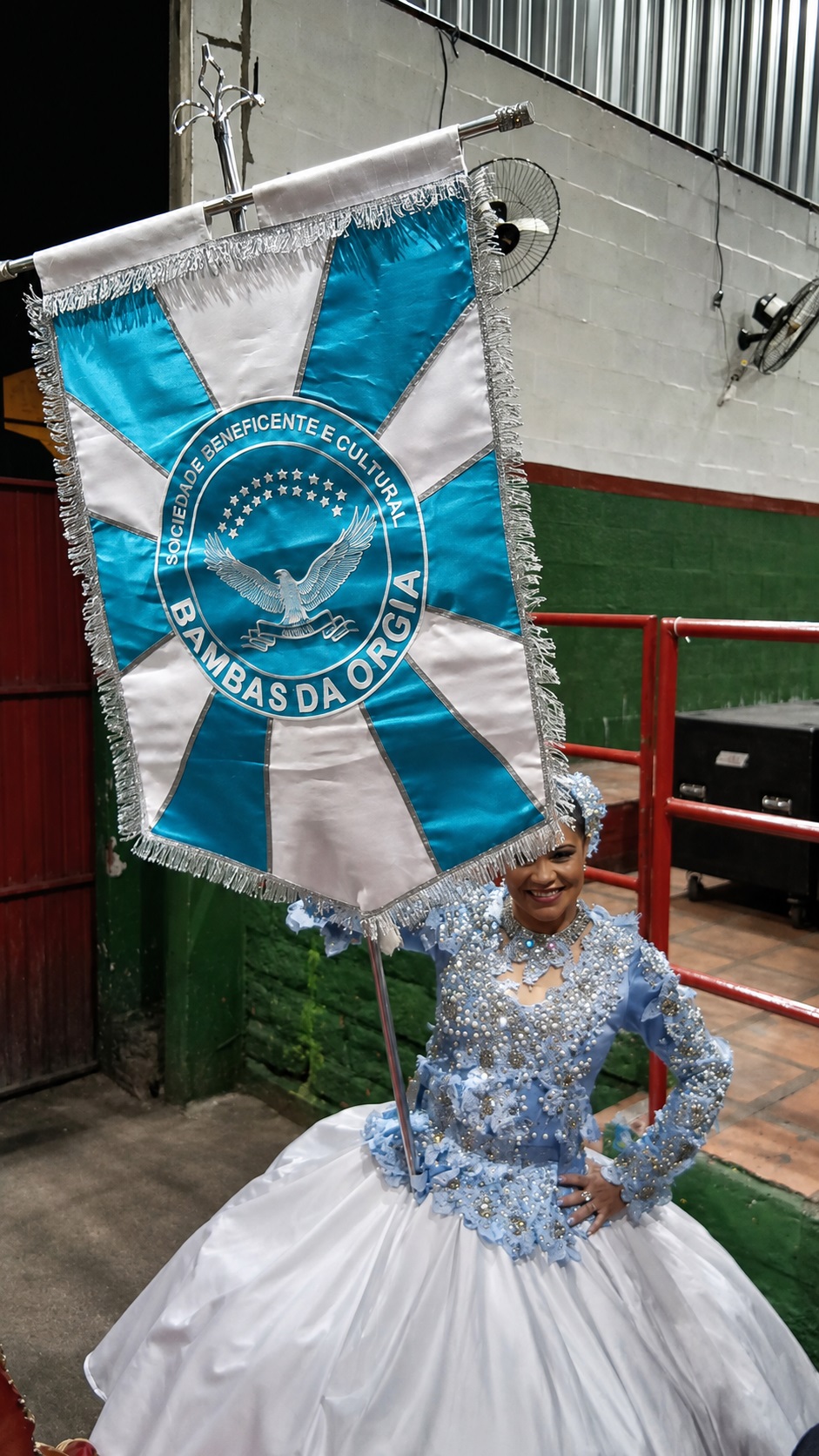 BAMBAS DA ORGIA - ESTANDARTE (c)